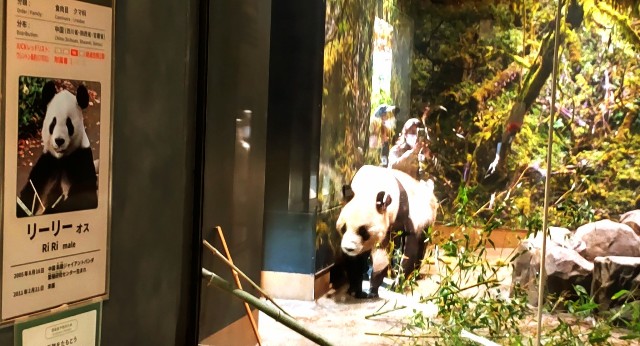 f:id:gaganbox:20221127063952j:image f:id:gaganbox:20221127063952j:image