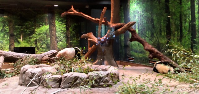 f:id:gaganbox:20221127064041j:image f:id:gaganbox:20221127064041j:image