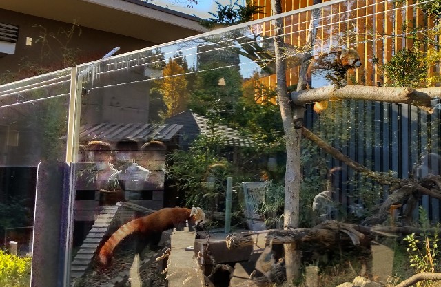 f:id:gaganbox:20221127064107j:image f:id:gaganbox:20221127064107j:image