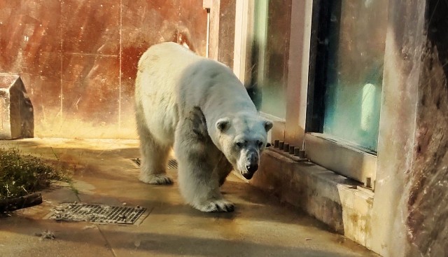 f:id:gaganbox:20221127064131j:image f:id:gaganbox:20221127064131j:image