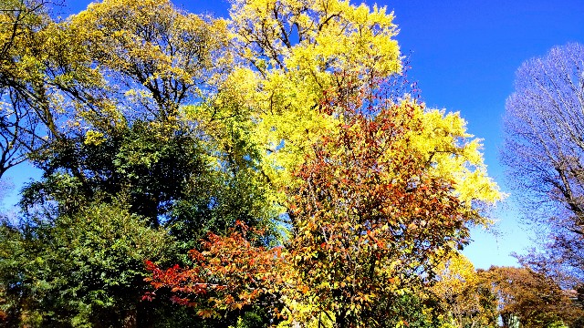 f:id:gaganbox:20221127064227j:image f:id:gaganbox:20221127064227j:image