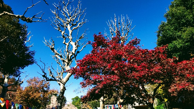 f:id:gaganbox:20221127064243j:image f:id:gaganbox:20221127064243j:image