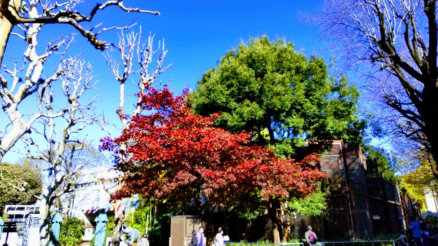 f:id:gaganbox:20221127064337j:image f:id:gaganbox:20221127064337j:image