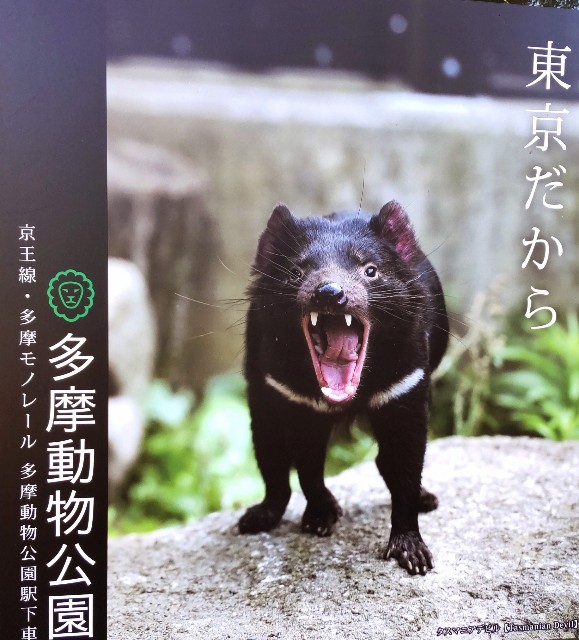 f:id:gaganbox:20221127064359j:image f:id:gaganbox:20221127064359j:image