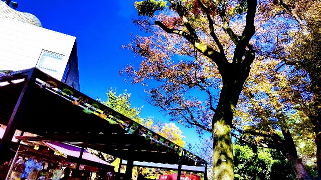 f:id:gaganbox:20221127064415j:image f:id:gaganbox:20221127064415j:image