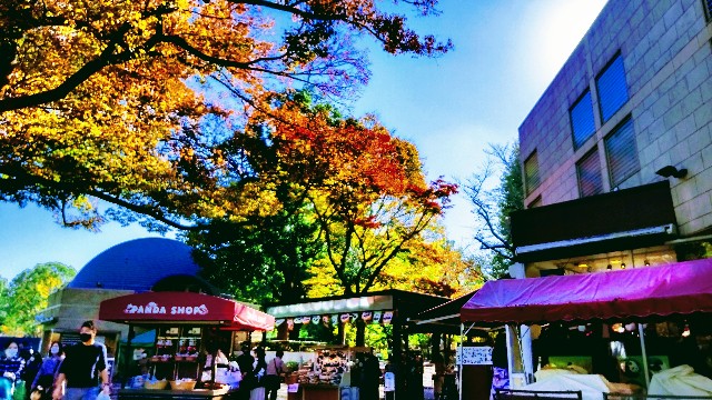 f:id:gaganbox:20221127064430j:image f:id:gaganbox:20221127064430j:image