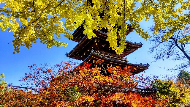 f:id:gaganbox:20221127064446j:image f:id:gaganbox:20221127064446j:image