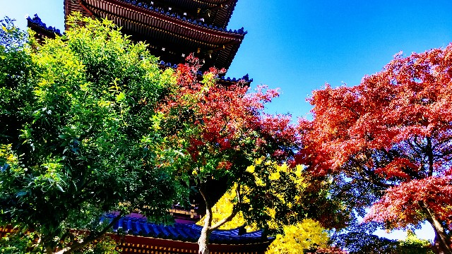 f:id:gaganbox:20221127064506j:image f:id:gaganbox:20221127064506j:image