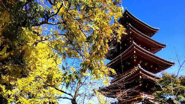 f:id:gaganbox:20221127064554j:image f:id:gaganbox:20221127064554j:image