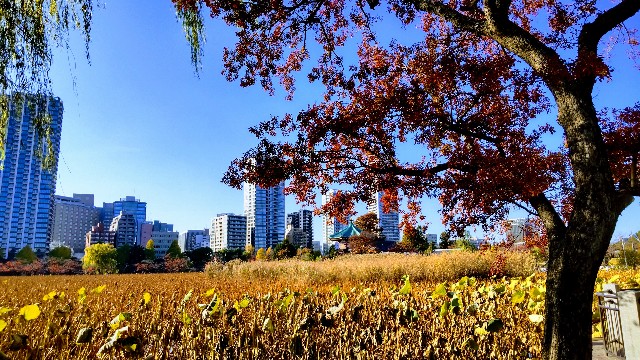 f:id:gaganbox:20221127064613j:image f:id:gaganbox:20221127064613j:image