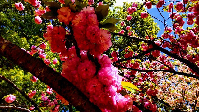 f:id:gaganbox:20240419213823j:image