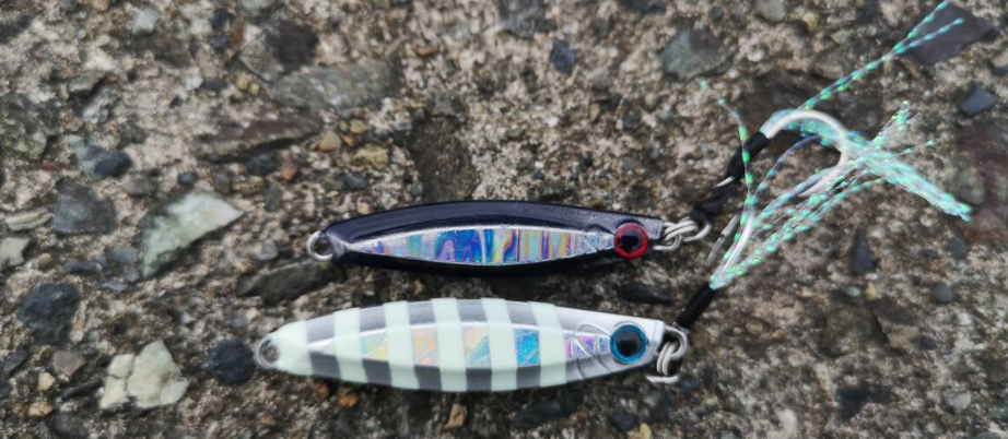 Super Light Shore Jigging (スーパーライトショアジギング)の