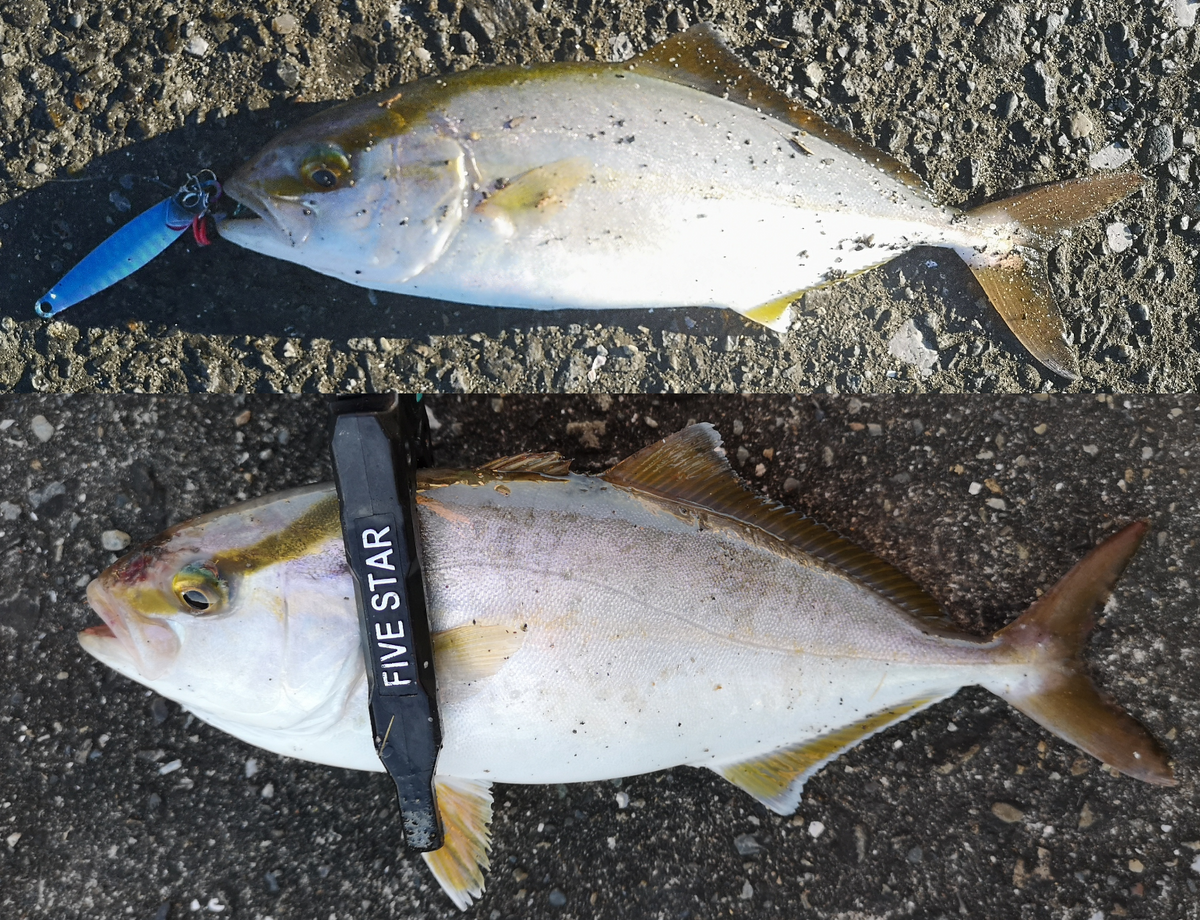 炎暑のスーパーライトショアジギング - gagarablog's