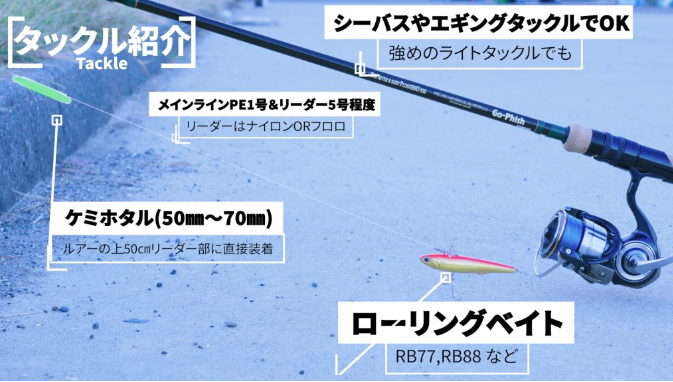 ダイワベイトリール 11B-49-012-1] リール DAIWA ダイワ 19 LIGHT SW X IC 手動