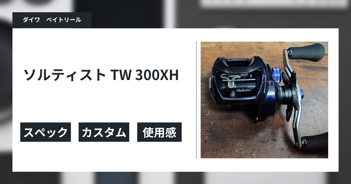 ダイワ タトゥーラTW 300XH & ソルティスト300 PE専用スプール付