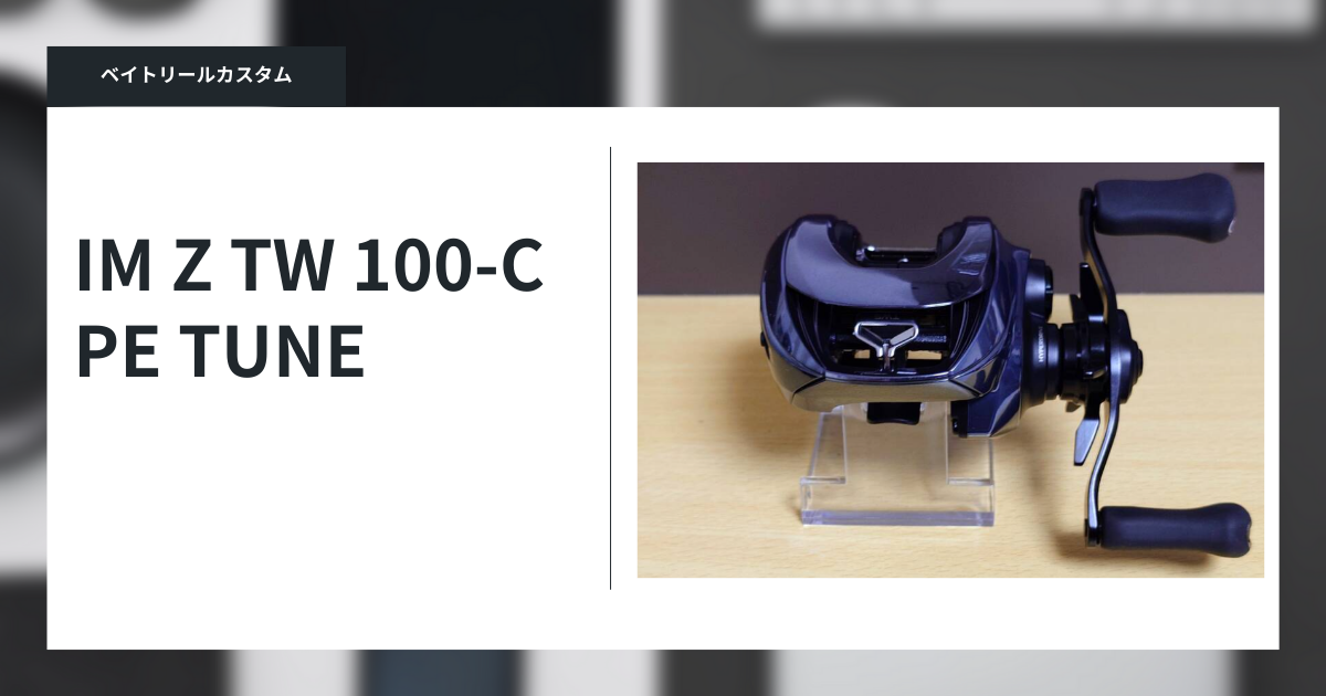 IM Z TW 100-CをPE TUNE - gagarablog's