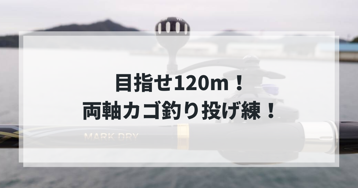 両軸カゴ釣り投げ練回 - gagarablog's