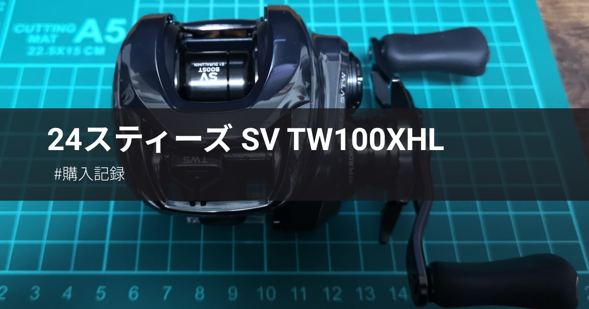 ダイワベイト最高機種！24スティーズ SV TW100を購入しました