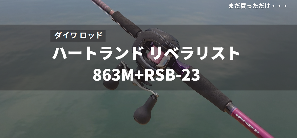 中古購入】ハートランド リベラリスト 863M+RSB-23 - gagarablog's