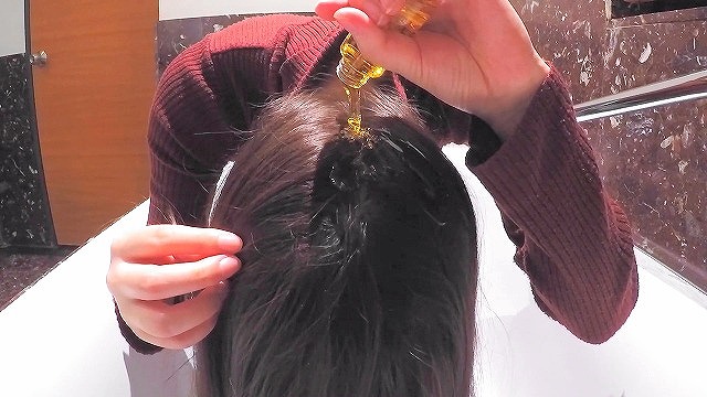 f:id:gagon:20181205144049j:plain f:id:gagon:20181205144049j:plain