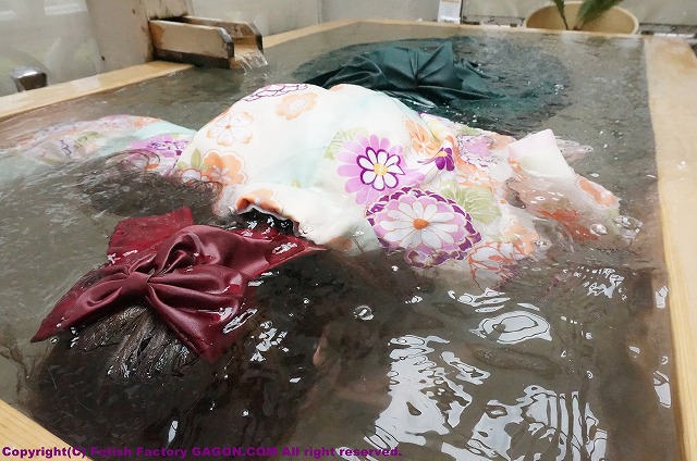 f:id:gagon:20190308102924j:plain f:id:gagon:20190308102924j:plain