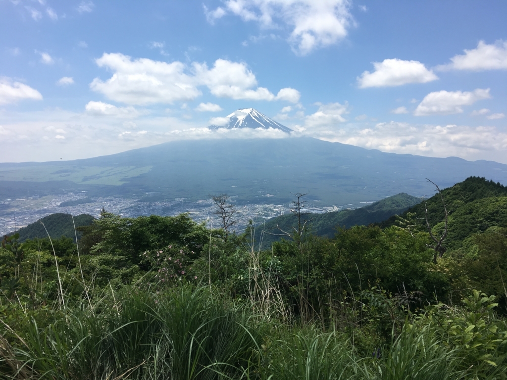 f:id:gai_1020:20170620230732j:plain f:id:gai_1020:20170620230732j:plain