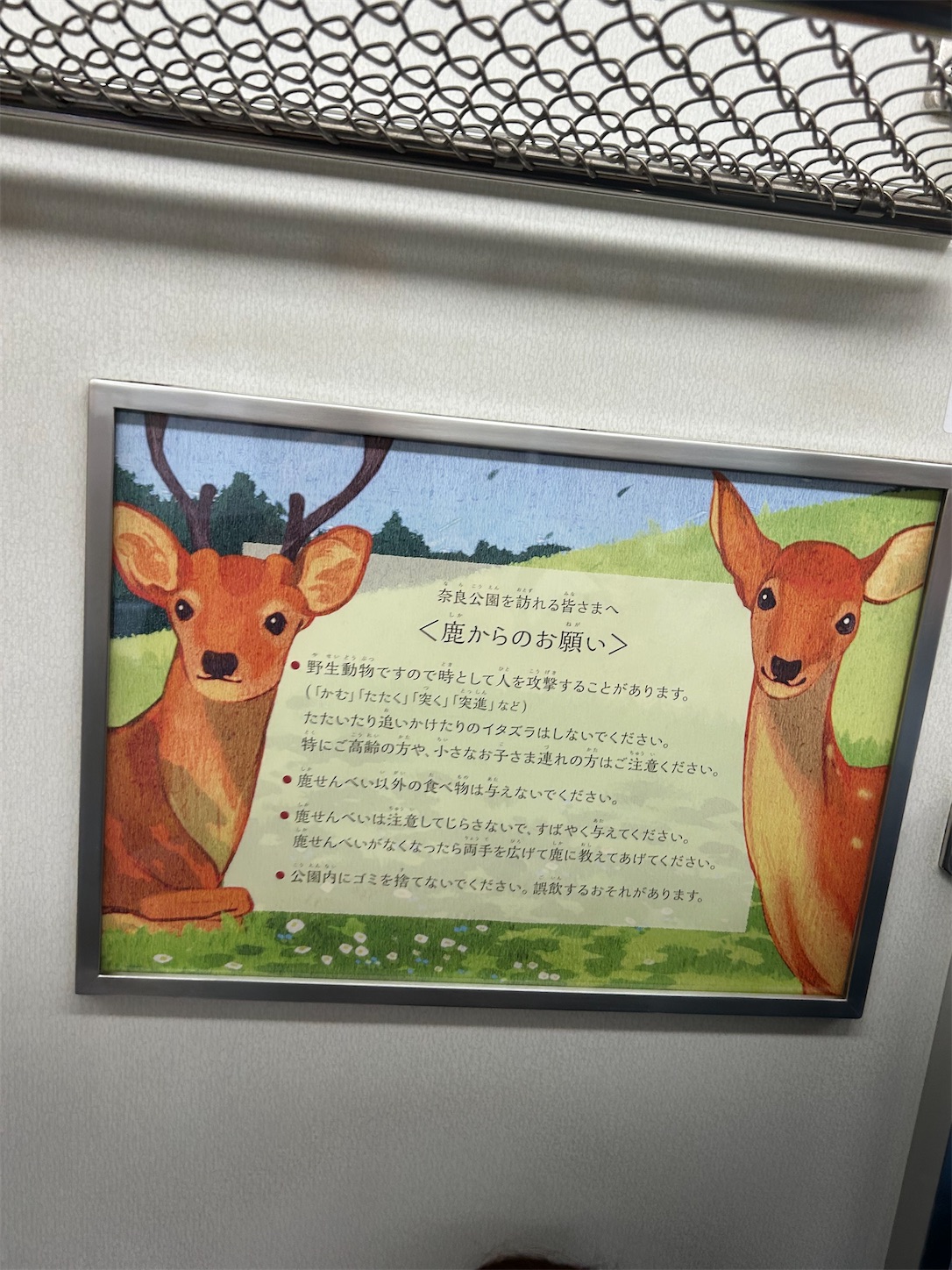 f:id:gaia13579:20240611051612j:image