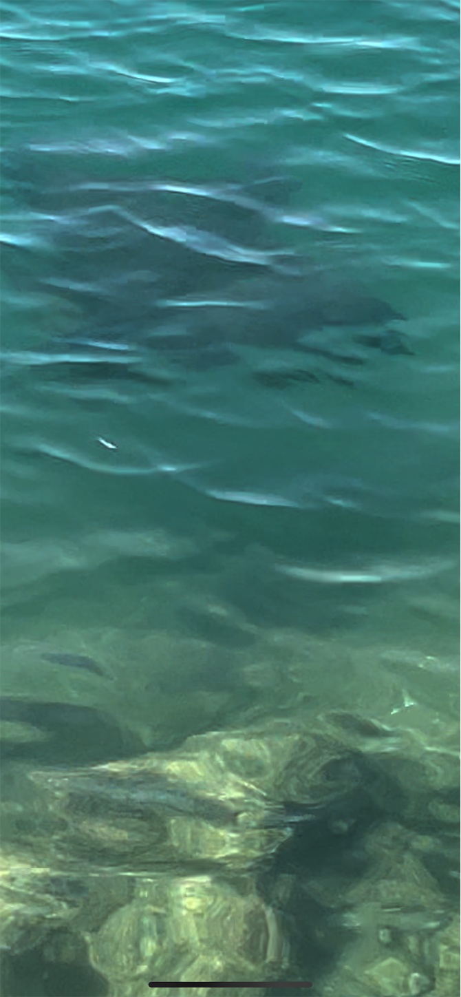 f:id:gaia13579:20240814180428p:image