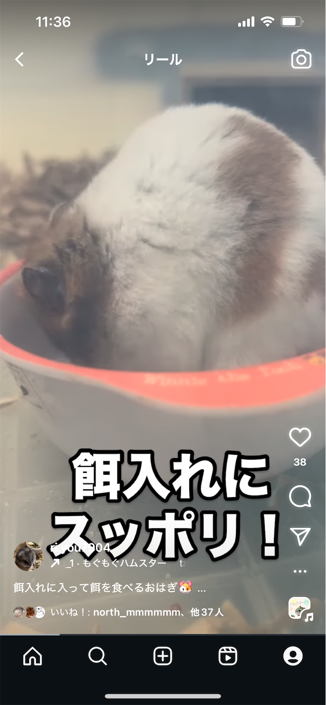 f:id:gaia13579:20250225113700p:image