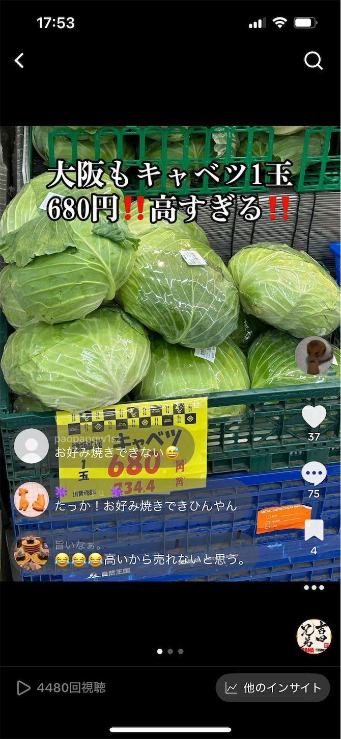 f:id:gaia13579:20250517175536p:image