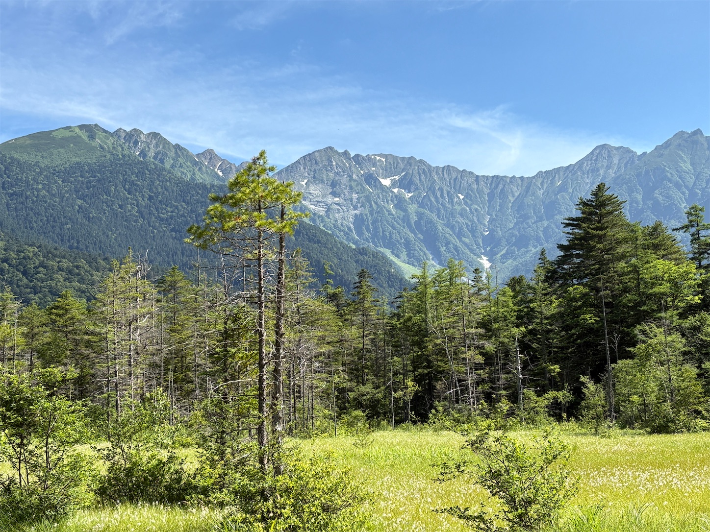f:id:gaia13579:20250714175803j:image