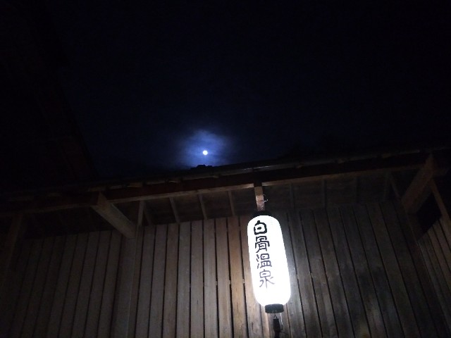 f:id:gaihakudaisuki:20190322233504j:image f:id:gaihakudaisuki:20190322233504j:image
