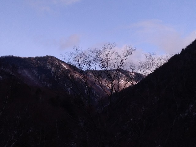 f:id:gaihakudaisuki:20190322234107j:image f:id:gaihakudaisuki:20190322234107j:image