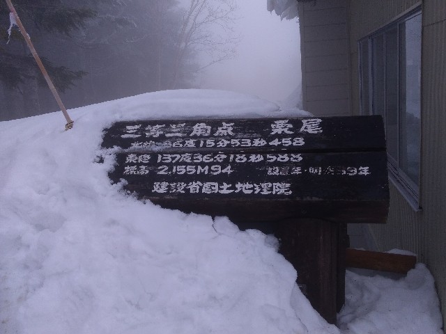 f:id:gaihakudaisuki:20190323224531j:image f:id:gaihakudaisuki:20190323224531j:image