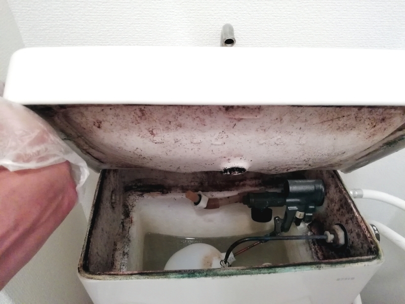 掃除しているのに汚れる便器 原因はタンクにあった 清掃レポート 追記あり ガイコツブログ