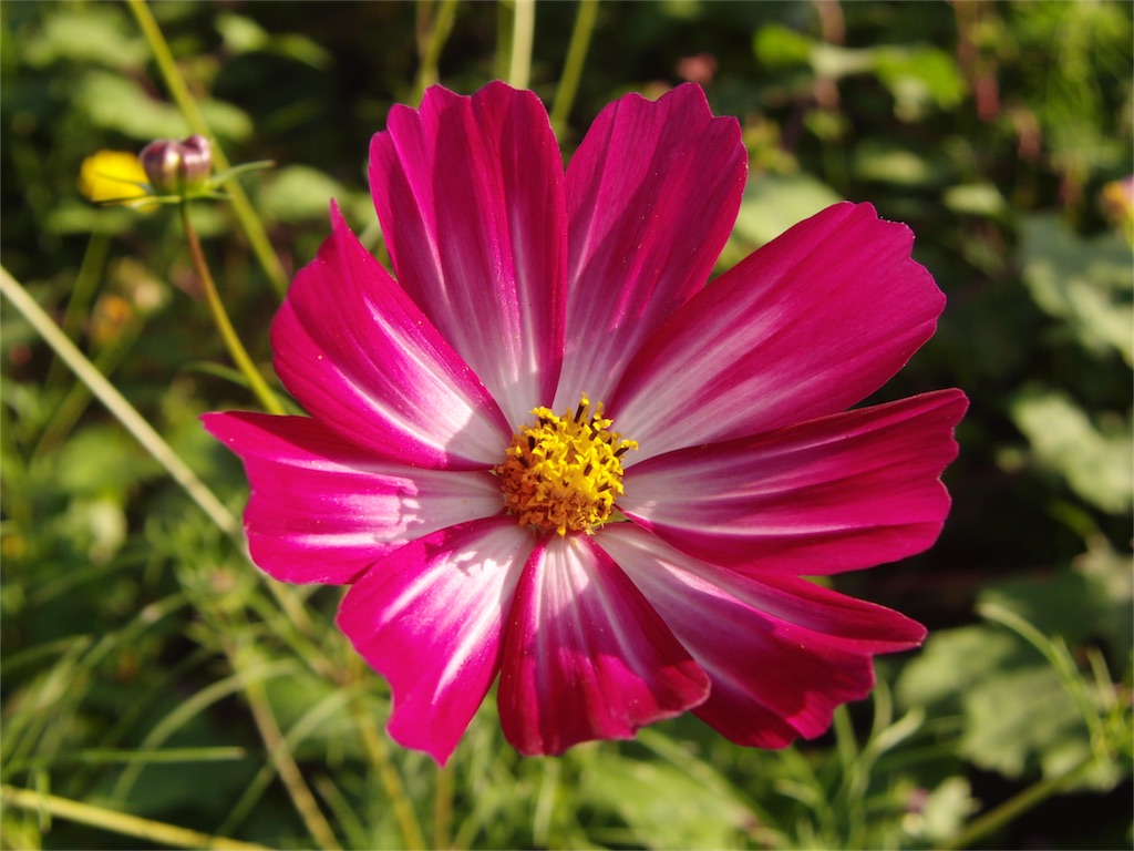 f:id:gainsbourg-japon1963:20161019184512j:image