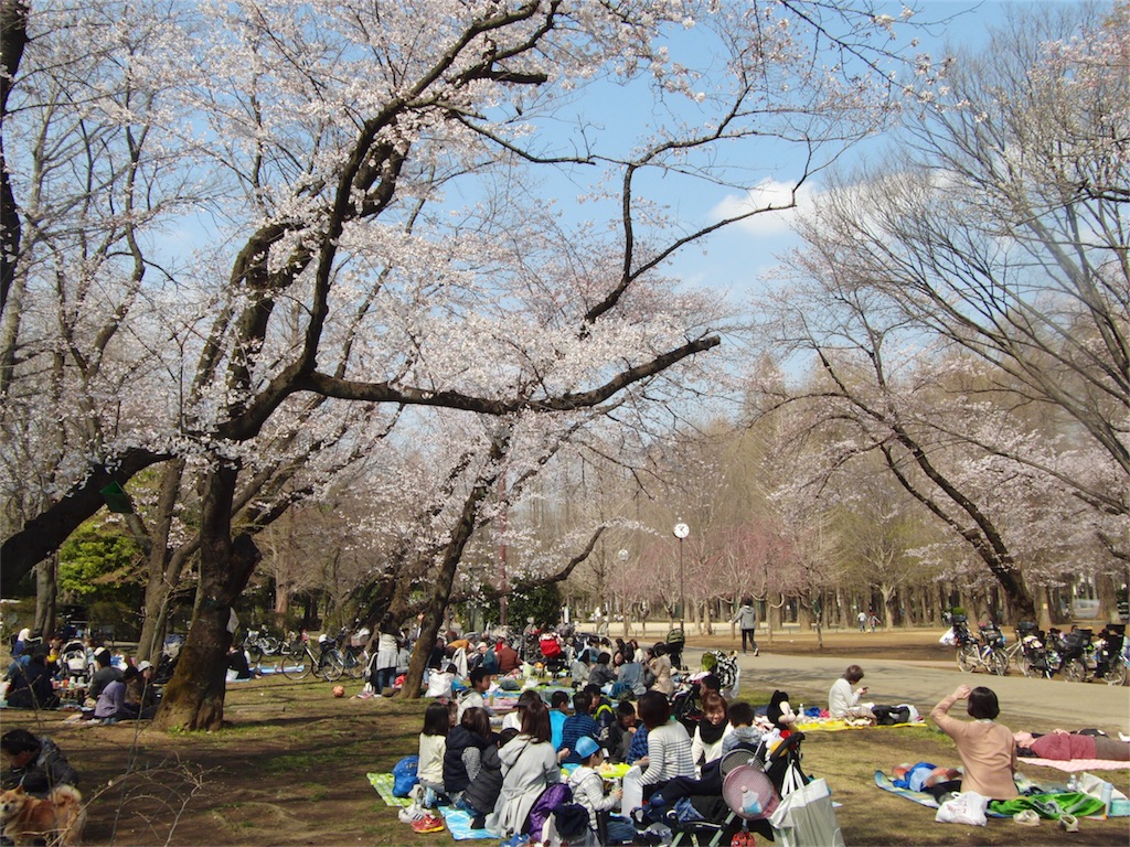 f:id:gainsbourg-japon1963:20170403164856j:image f:id:gainsbourg-japon1963:20170403164856j:image