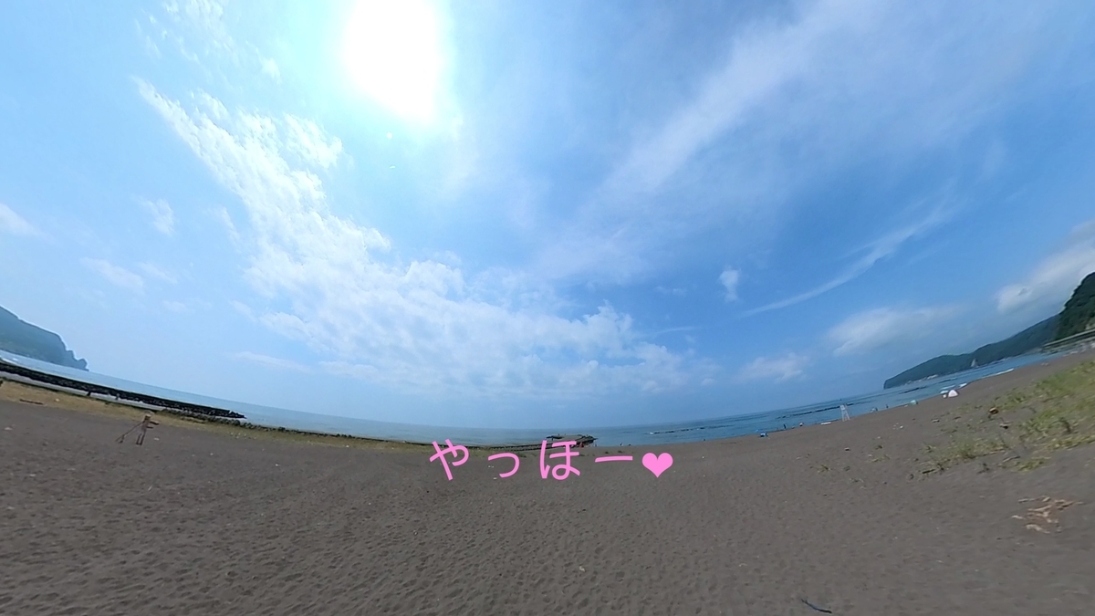 f:id:gaip:20210812201117j:plain