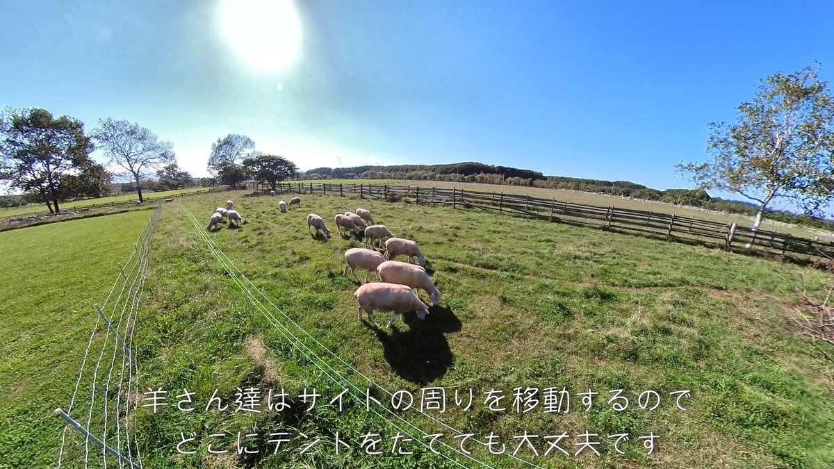 f:id:gaip:20210912161011j:plain