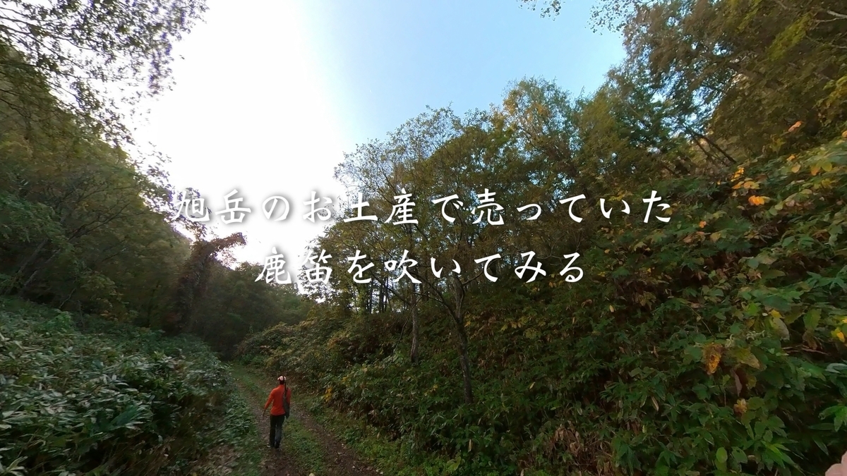 f:id:gaip:20211014213733j:plain