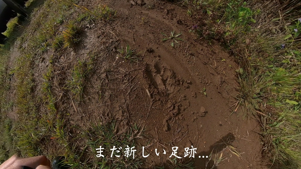 f:id:gaip:20211014214441j:plain