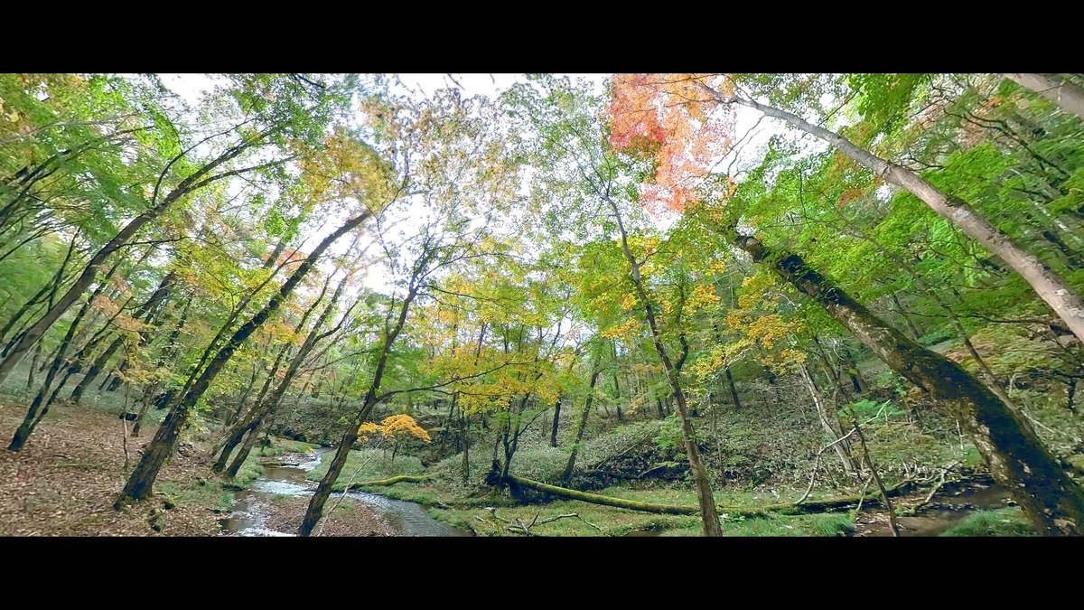 f:id:gaip:20211023065517j:plain