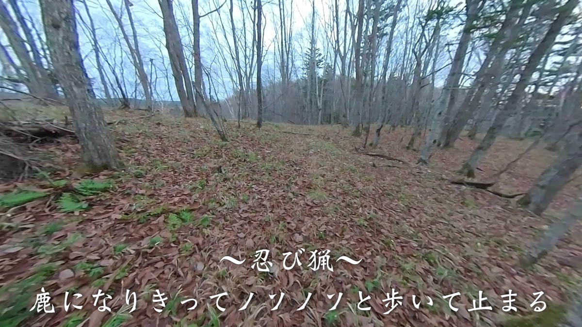 f:id:gaip:20211113131641j:plain