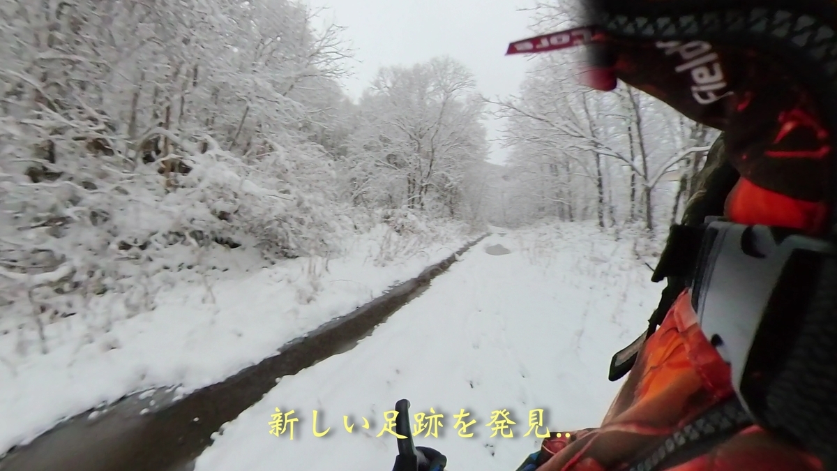 f:id:gaip:20211203063311j:plain