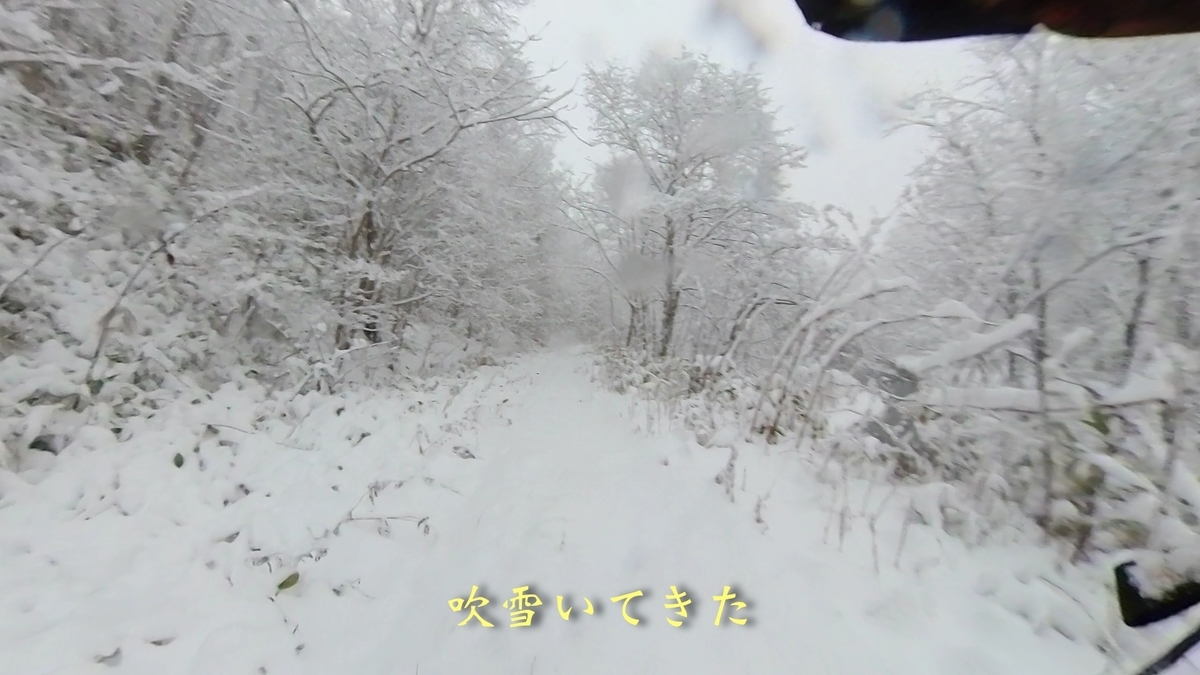 f:id:gaip:20211203063413j:plain