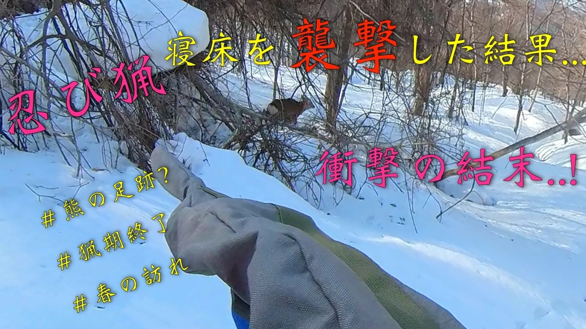 f:id:gaip:20220401064511j:plain