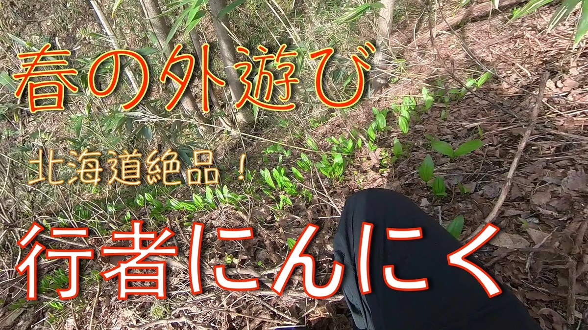 f:id:gaip:20220418093835j:plain