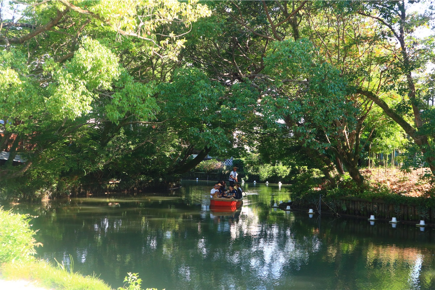 f:id:gaisu:20191115074921j:image