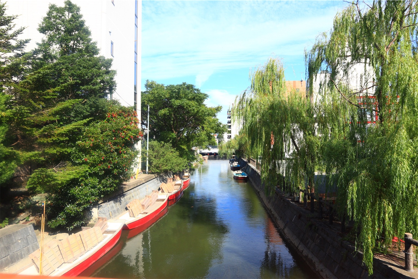 f:id:gaisu:20191115074934j:image