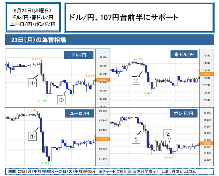 f:id:gaitamesk:20190924093516p:plain